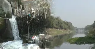 দখল আর দূষণে মৃতপ্রায় চুয়াডাঙ্গায় মাথাভাঙ্গা নদী, পরিবেশে বাড়ছে শঙ্কা